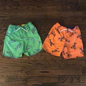 Bundle of boys POLO swim trunks. Size 7. GUC 💙